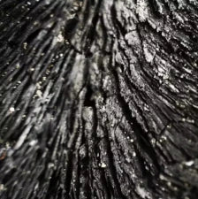 Shilajit